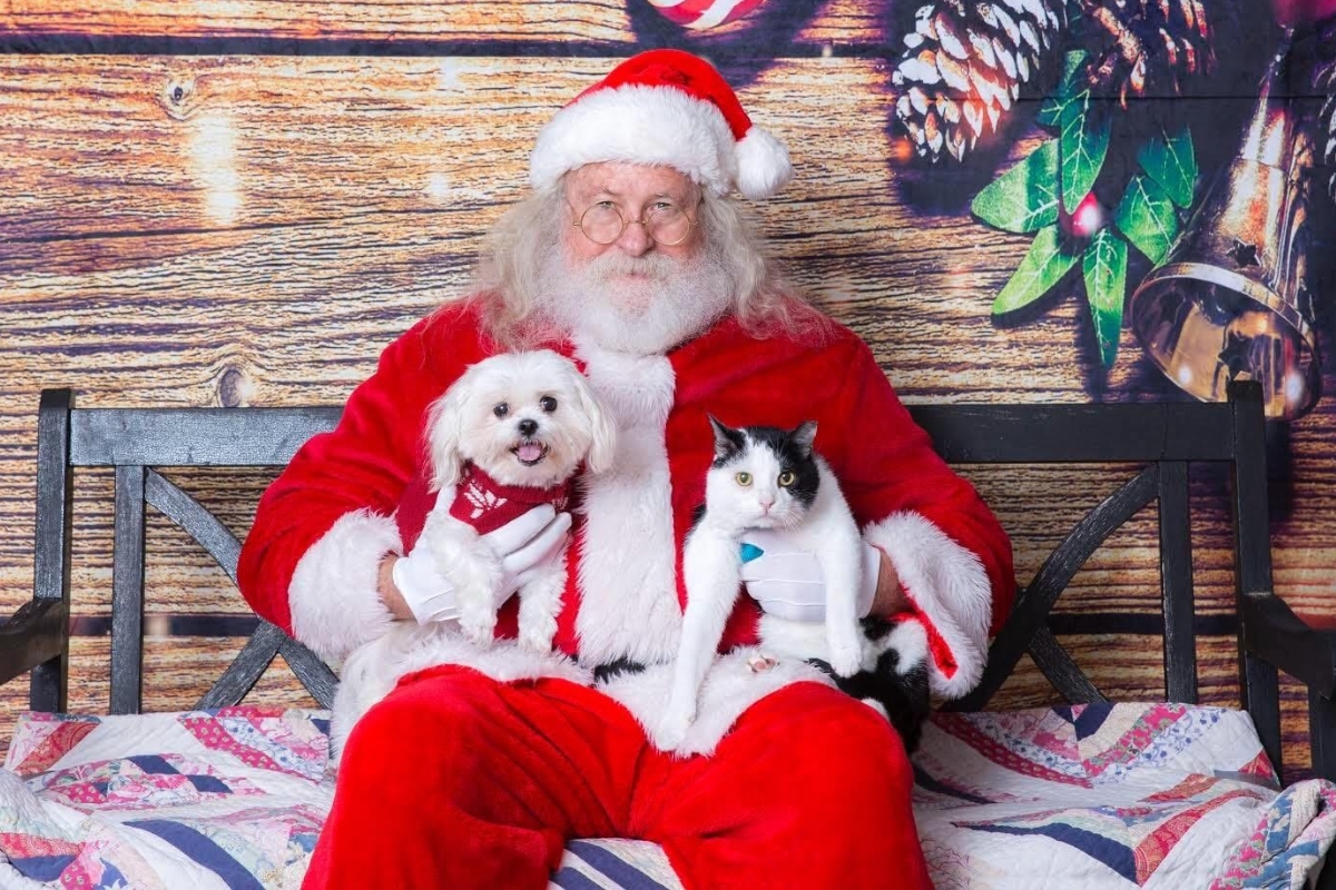 Alachua County Animal Resources to host “Whisker Wonderland”