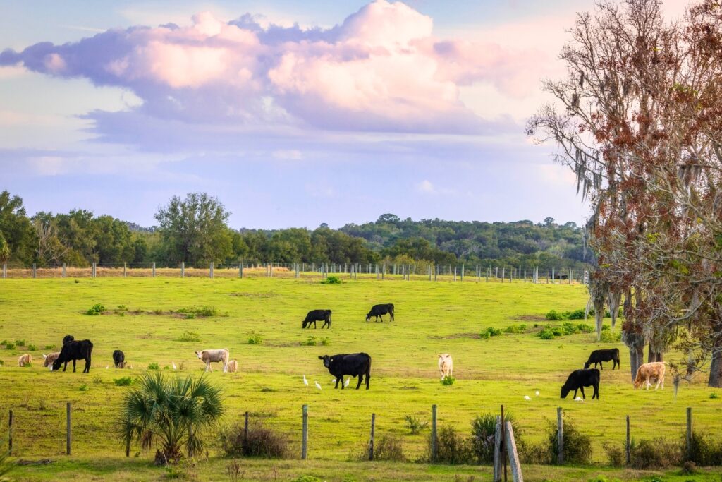 Lake to Lagoon area.
