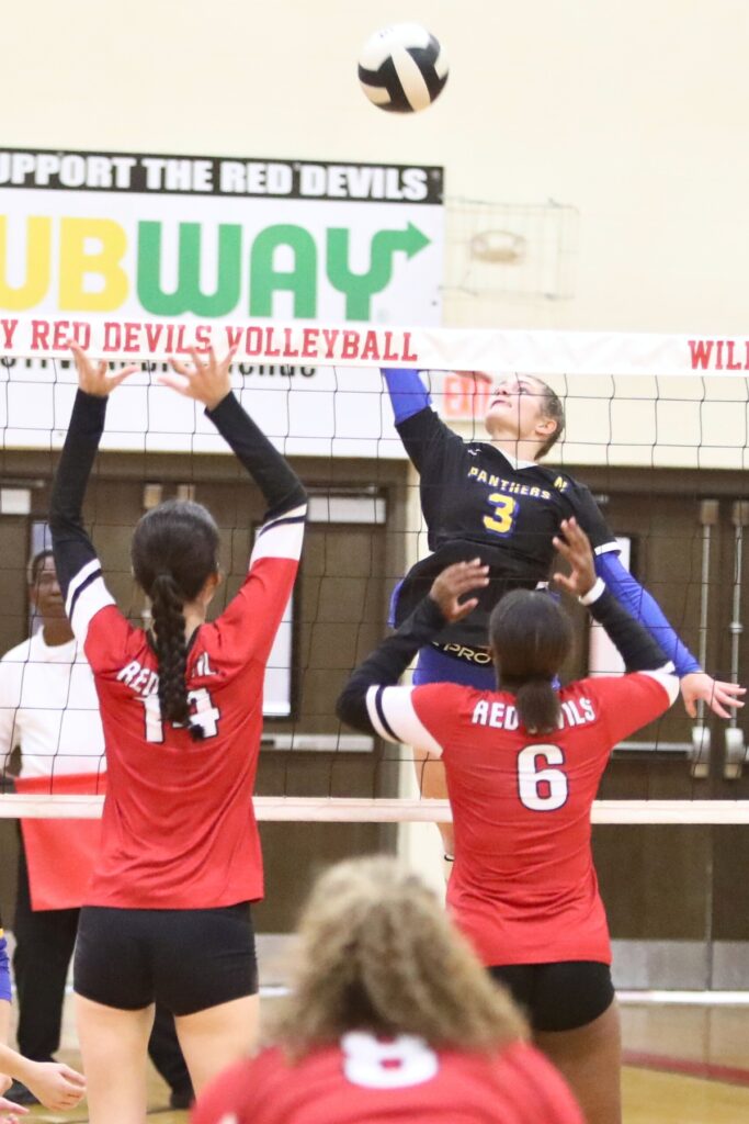 Newberry's Hailey Tharp with a hit against Williston on Tuesday.