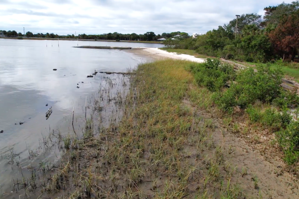 Living shorelines, foreground, were able to reduce wave energy and height compared to the hardened shorelines further down the beach.