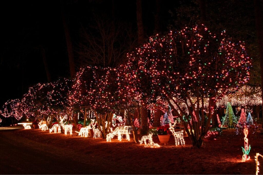 The Holiday Light display at Dorothy B. Oven Park in downtown Tallahassee.