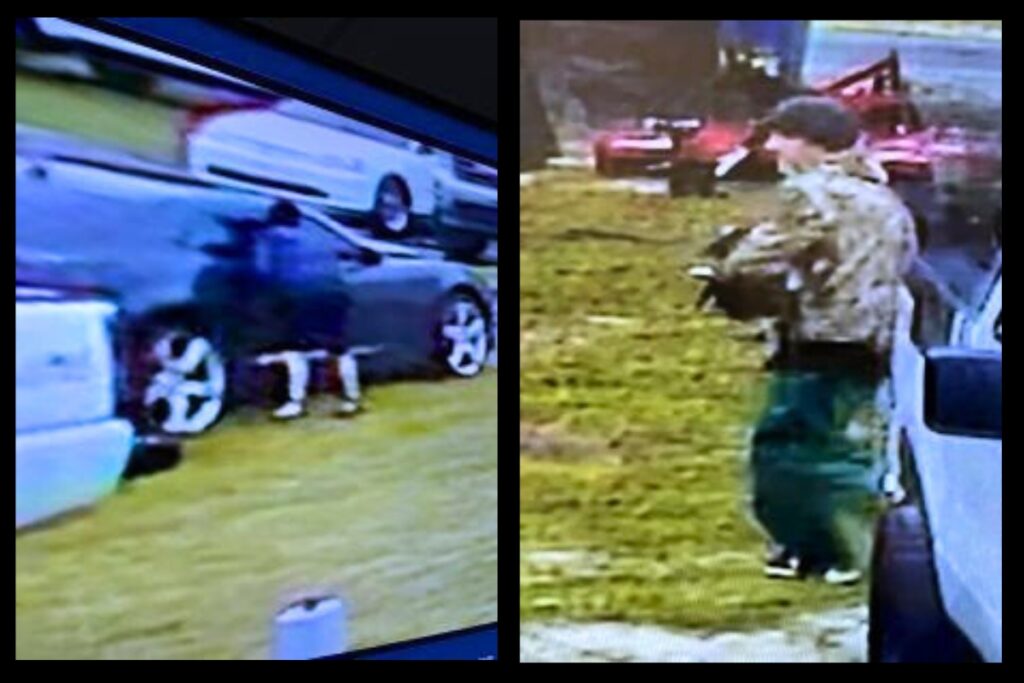 The Levy County Sheriff's Office is requesting public assistance in identifying two suspects who allegedly burglarized multiple vehicles in Williston on Tuesday.