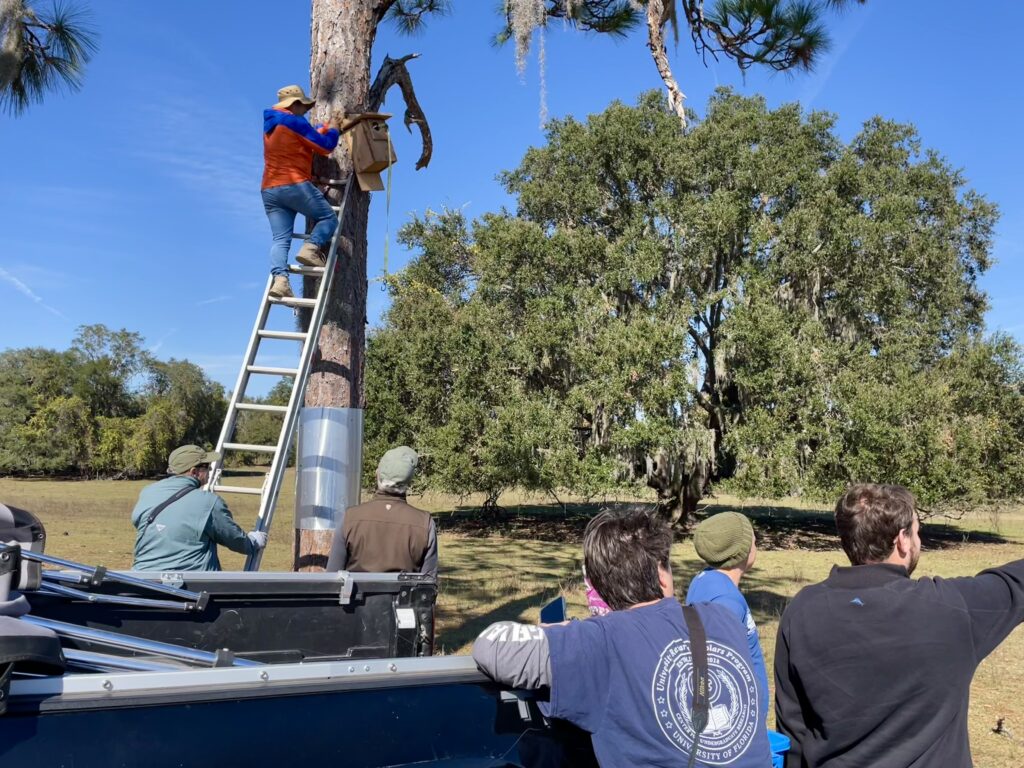 The kestrel box team keep watch as a new box gets installed. 