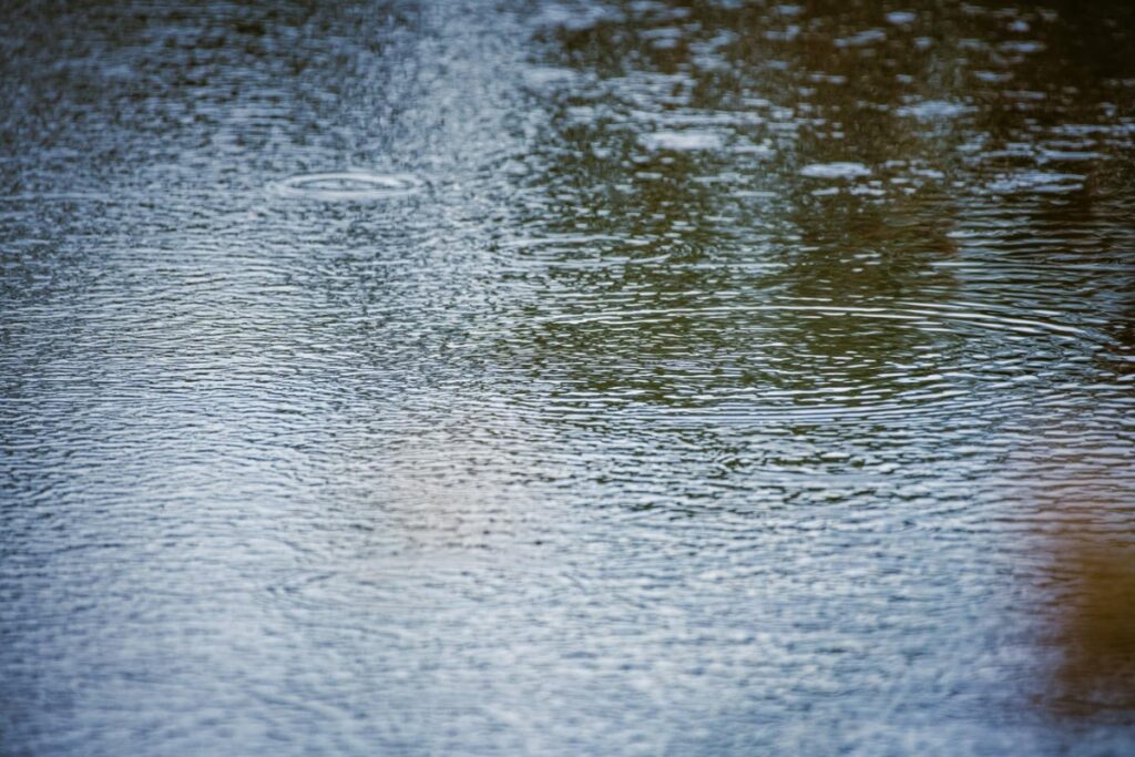 The weekend's storm dropped an average of 4.4 inches of rain in North Central Florida.