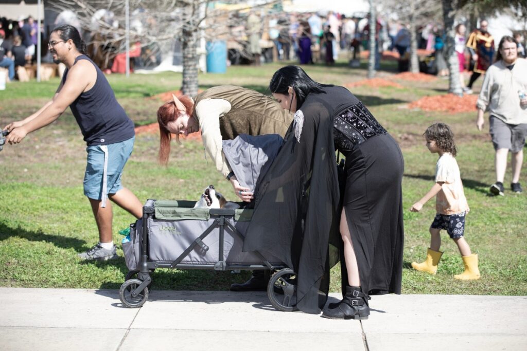 Faire-goers make their corgi dog comfortable inside a wagon.