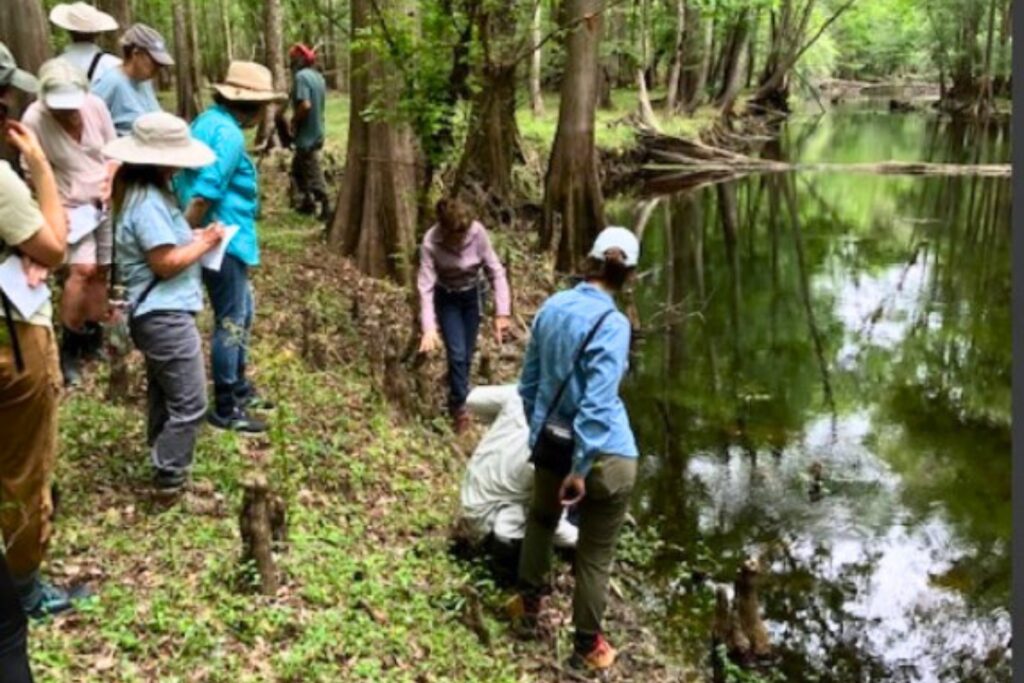 Our Santa Fe River Inc. announced it is accepting applications for its 12th Annual RiverFest SingerSongwriter contest.