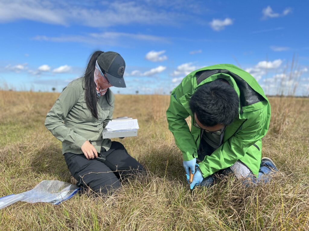 researchers take grassland samples.