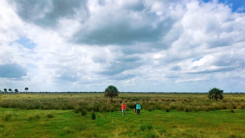 grasslands in central florida