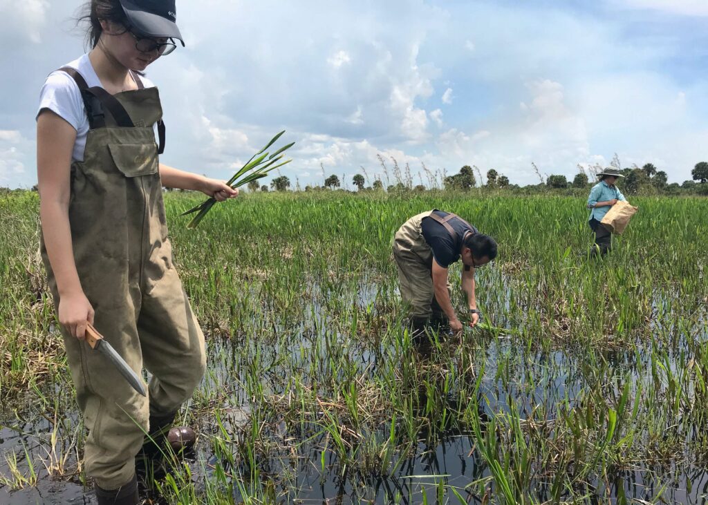 UF team samples wetlands near Archbold Biological Station.