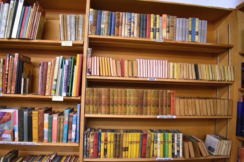 Many Collector's Corner items are old favorite children's book series.