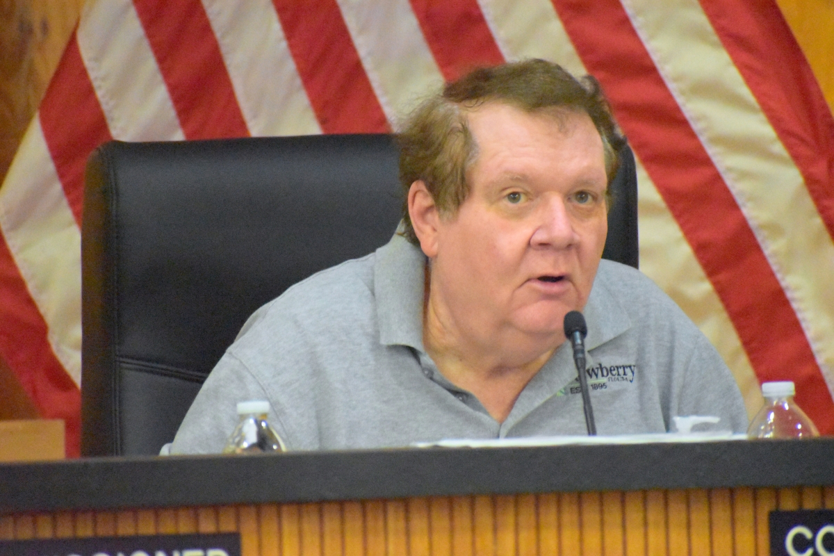 Newberry passes first reading of big box store zoning in progress