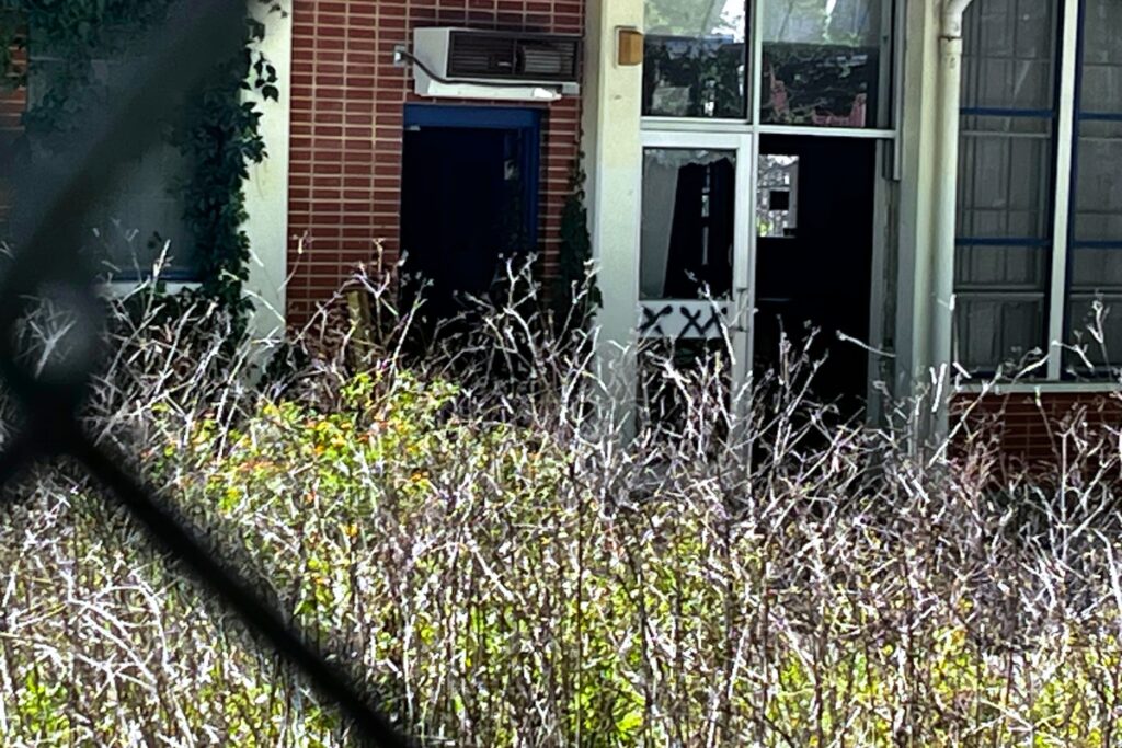 Waist-high weeds surrounds the old Terwilliger Elementary School on NW 62nd Street.