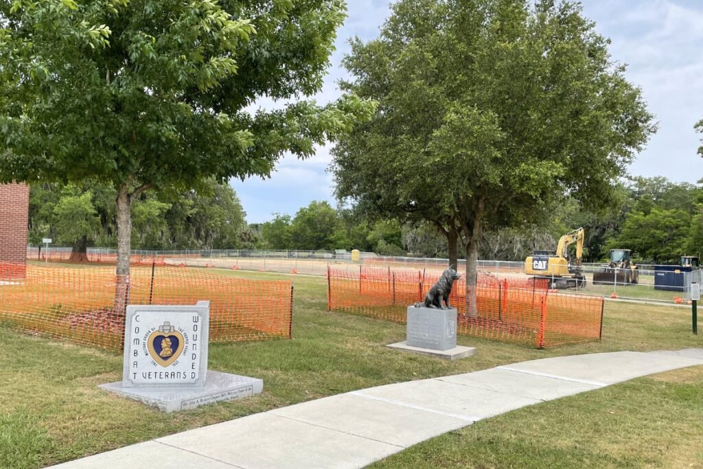 Protective barriers shield trees from impacts to root systems.