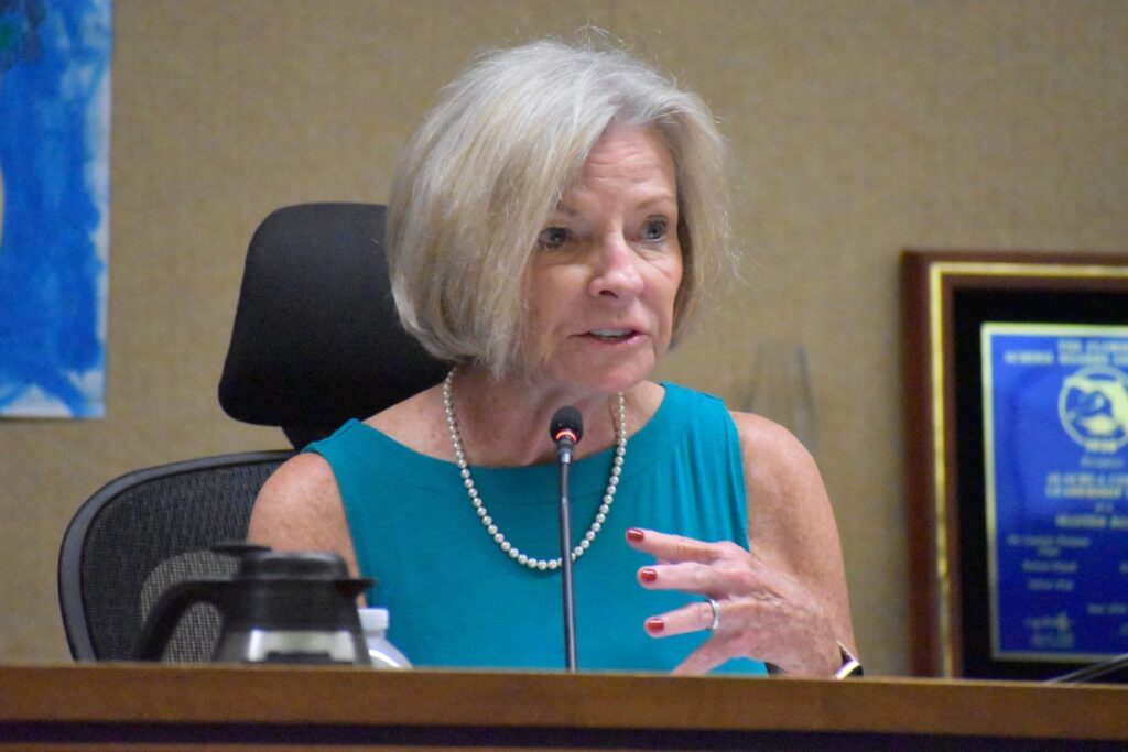 School Board Member Kay Abbitt, who has expressed her support of charter schools, voted against the application.
