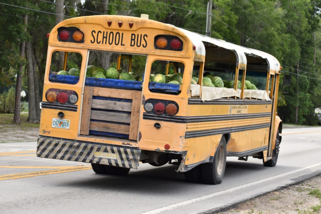 The watermelon festival used 300-400 watermelons.