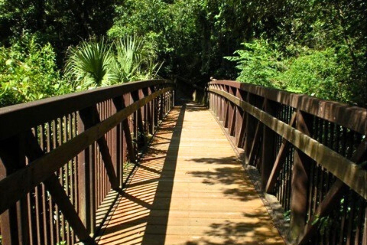 Alfred A. Ring Nature Park improvements to start