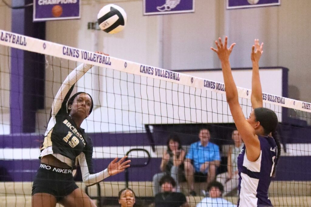 Buchholz Aaliyah Ray (19) with a hit against Gainesville's Jacey Carter-Mitchell (1) on Monday.