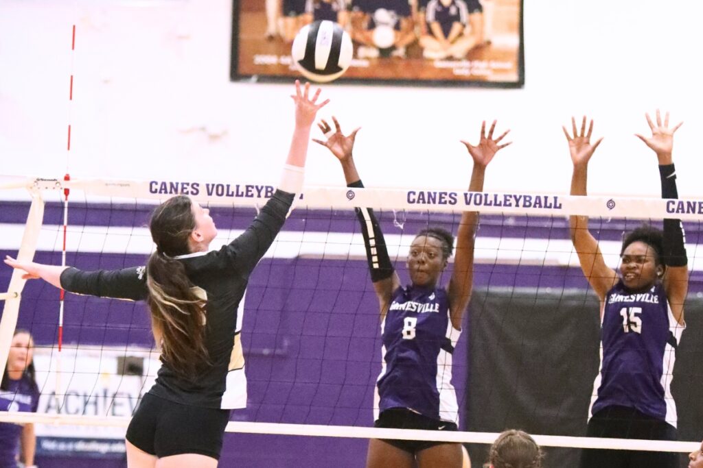 Buchholz's Jovanna Pettigrew (2) with a hit against Gainesville's