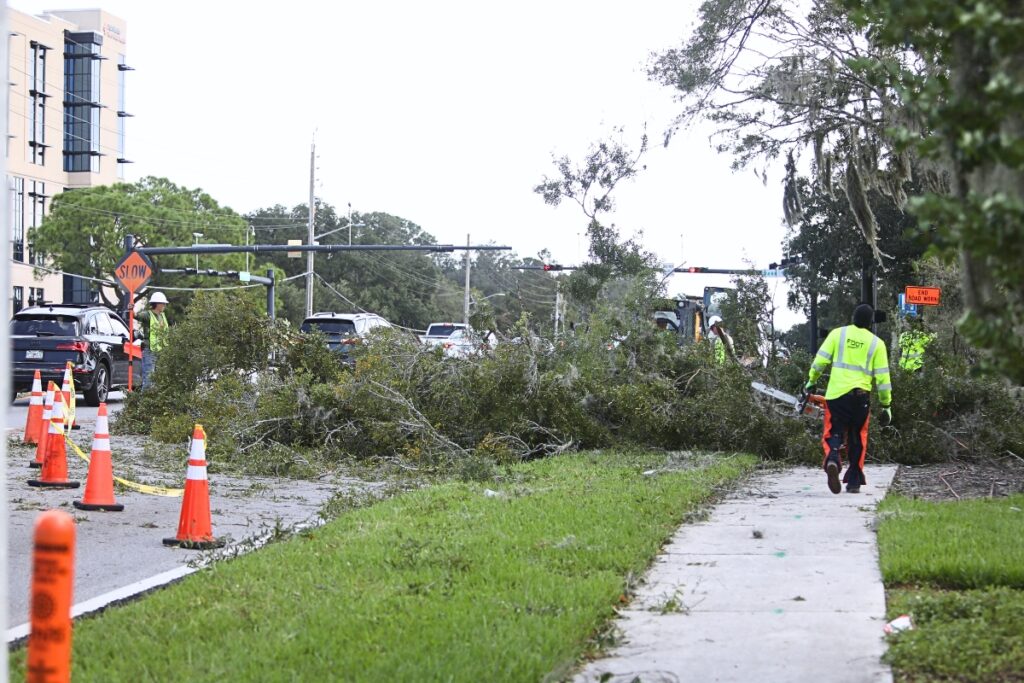 Crews work to clear a downed tree on Newberry Road next to BJs Restaurant and Oaks Mall on Friday. Photo by C.J. Gish