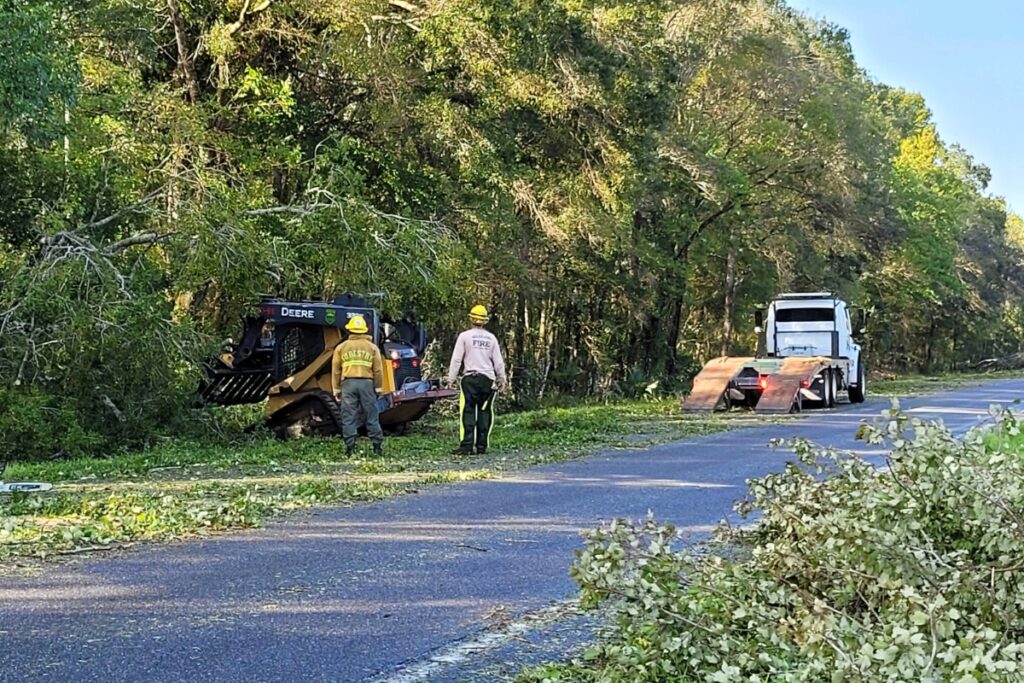 Florida Forest Service crew works to clear road.