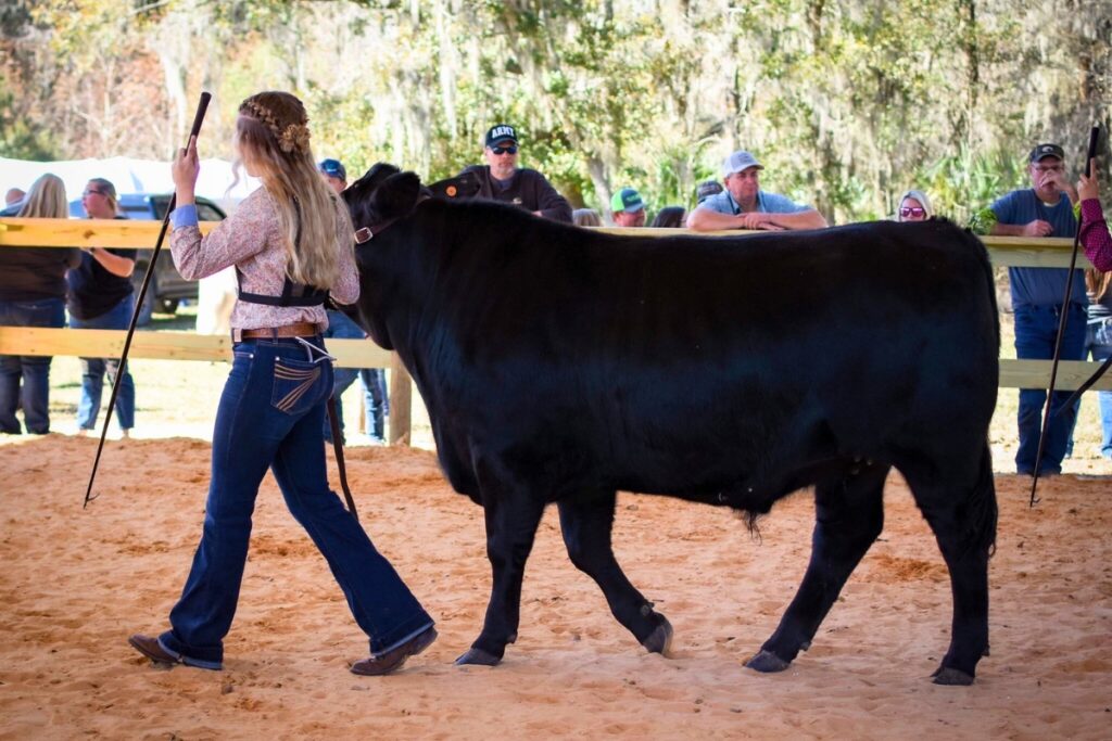 Vayda Bristow shows livestock as part of the FFA.