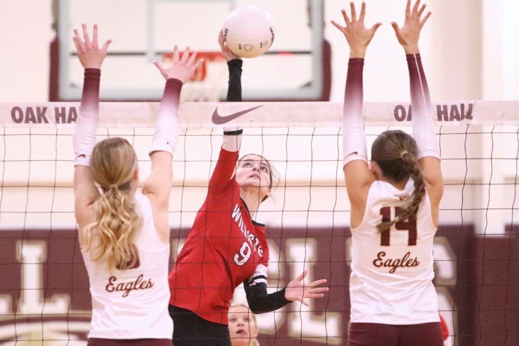 Williston's Kai Gowland (9) with a hit against Oak Hall's Hannah Timm (6) and Oak Hall's Kendylle Bishop (14) on Tuesday.