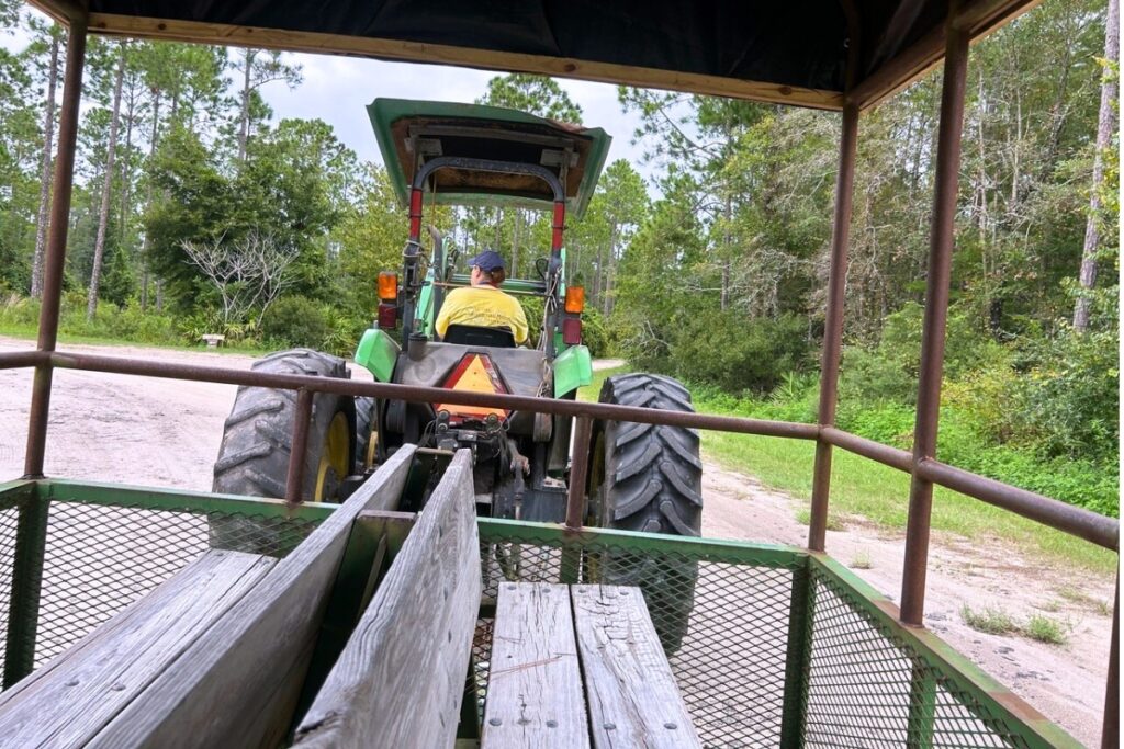 Tour guide Jenn Moses drives the tractor that takes visitors around on a tour of the outdoor museum.