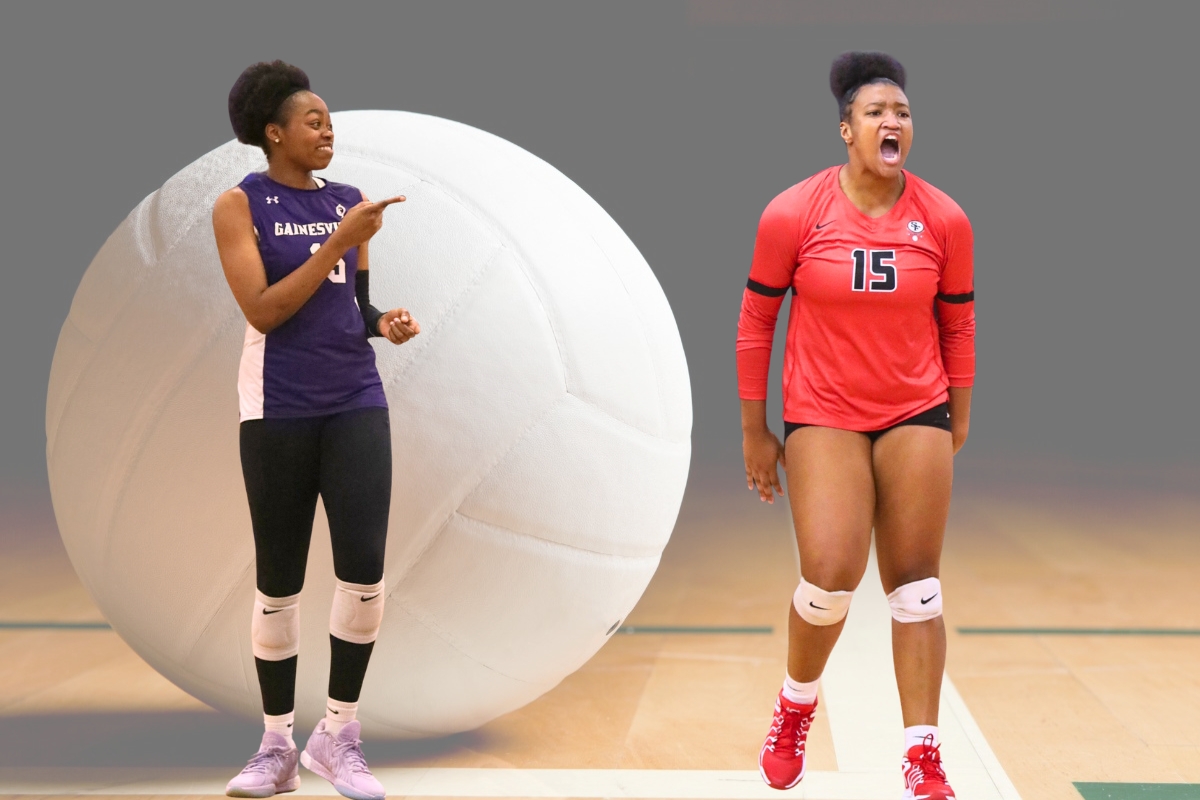 2024 All Area volleyball big school team