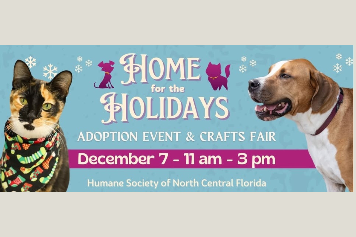 Humane Society to hold “Home for the Holidays” adoption event and ...
