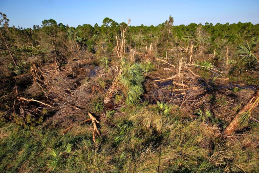 Tornado damage from Hurricane Milton in St. Lucie County.