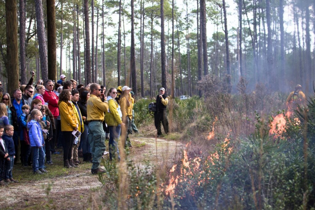 A prescribed burn demonstration at the 2019 Flatwoods Fire and Nature Festival.