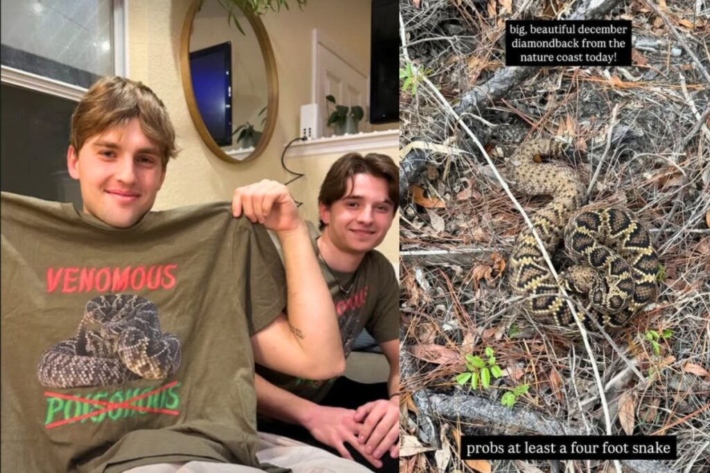 Gainesville social media influencer David Humphlett (left) is back at home after being bitten by an eastern diamondback rattlesnake (right) in Dixie County on Dec. 18.