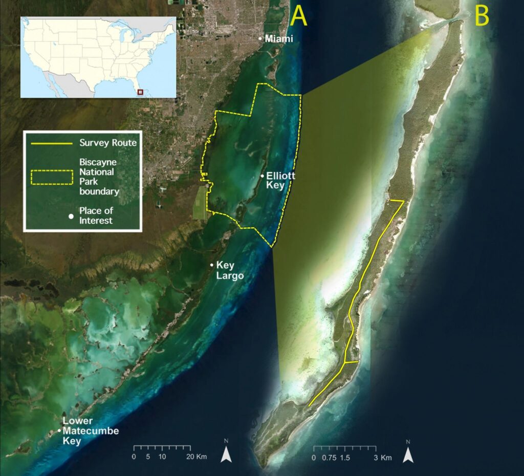 A map of Biscayne National Park, which is primarily covered by water, shows where researchers follow Spite Highway to spot and track Schaus' swallowtails.