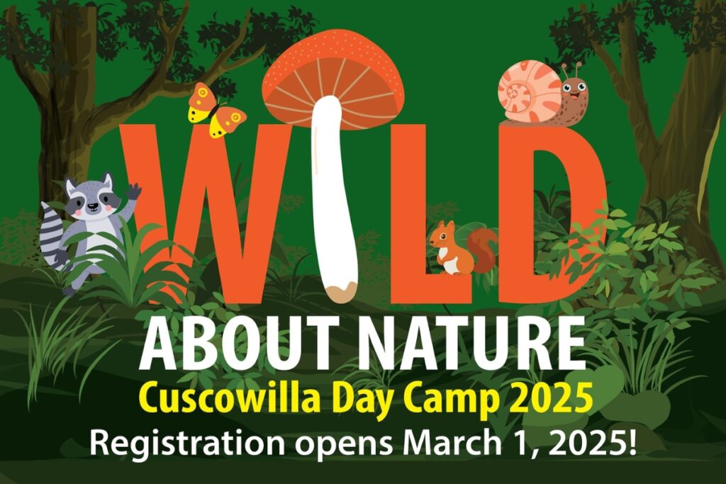 Registration will open for summer camps at the Cuscowilla Nature and Retreat Center starting on March 1. Courtesy of Alachua County