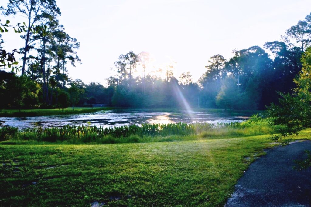 Upcoming improvements at Duval Nature Park in Gainesville are scheduled to begin on Monday, Feb. 10, and are projected to finish this summer. Courtesy city of Gainesville