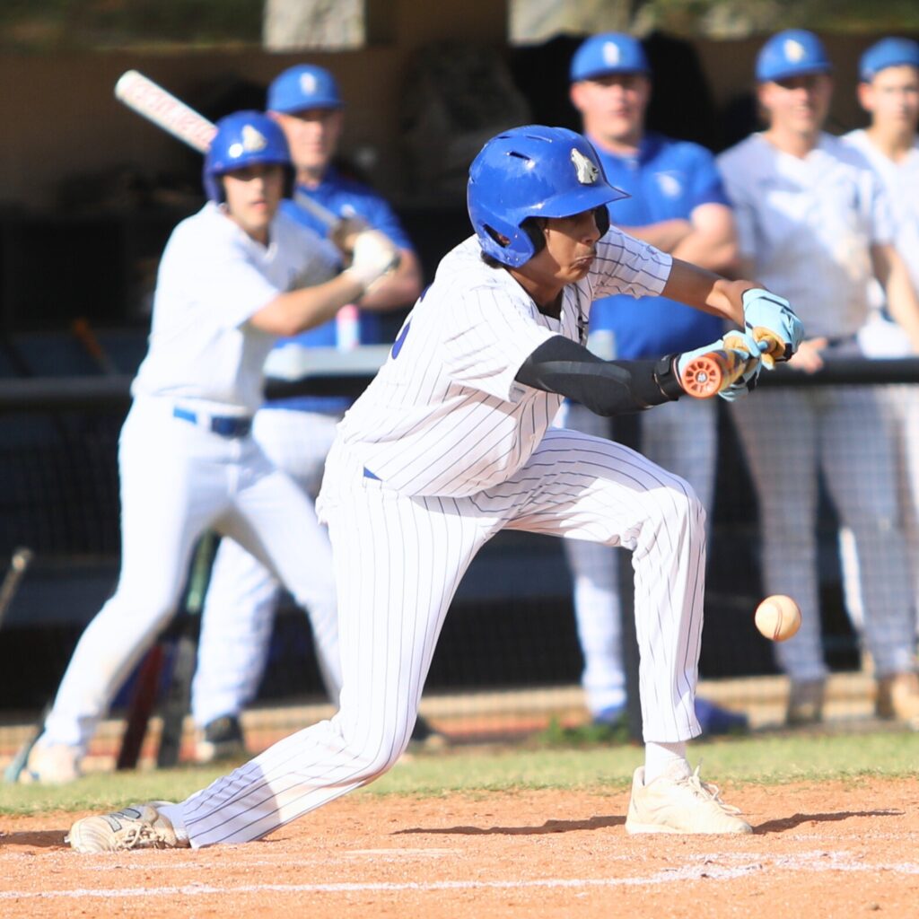 St. Francis Catholic's Colin Kuruppacherry lays down a bunt against P.K. Yonge. Photo by C.J. Gish