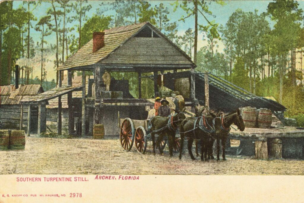 The Archer turpentine still.