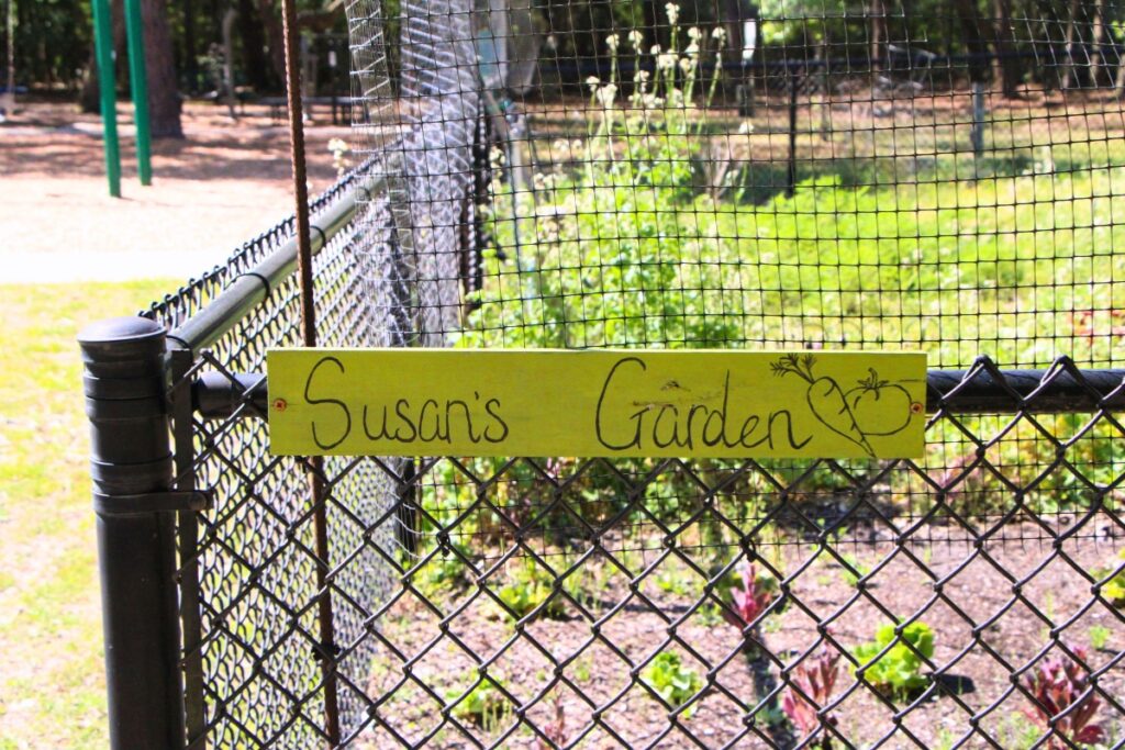 A claimed plot at Green Acres Park community garden. Photo by Lillian Hamman
