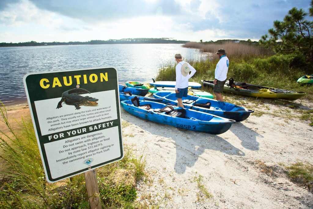 People prepare to kayak in a Florida lake populated by alligators. Photo by Tyler Jones- UF-IFAS