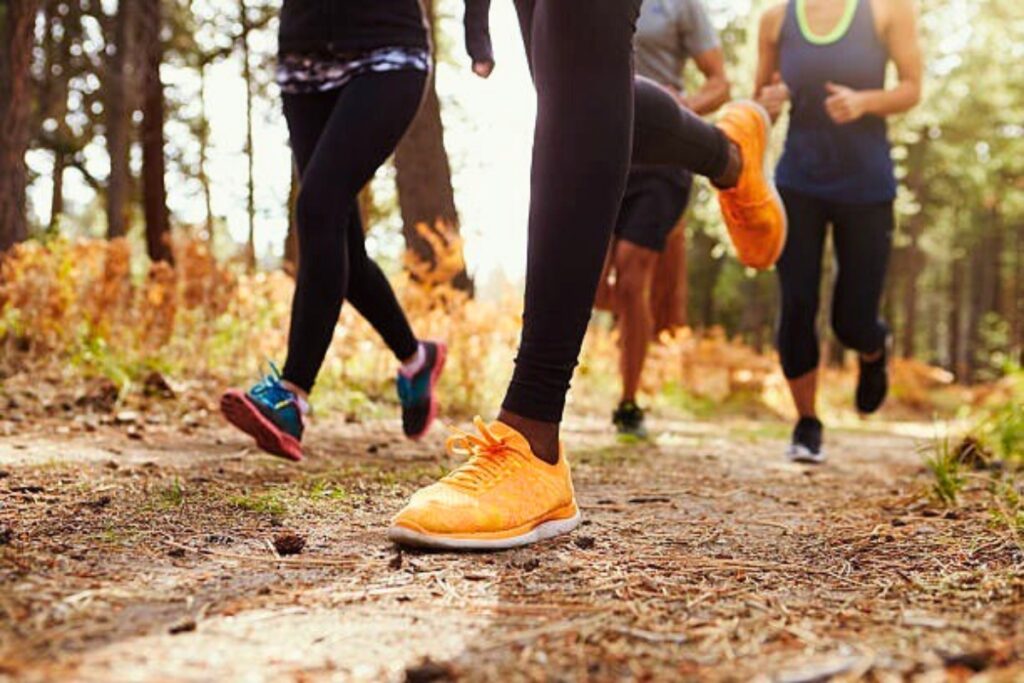 The Free To Fly Trail 5K fundraiser for helping restore lives impacted by human trafficking and exploitation is scheduled at San Felasco Park in Alachua on Saturday.