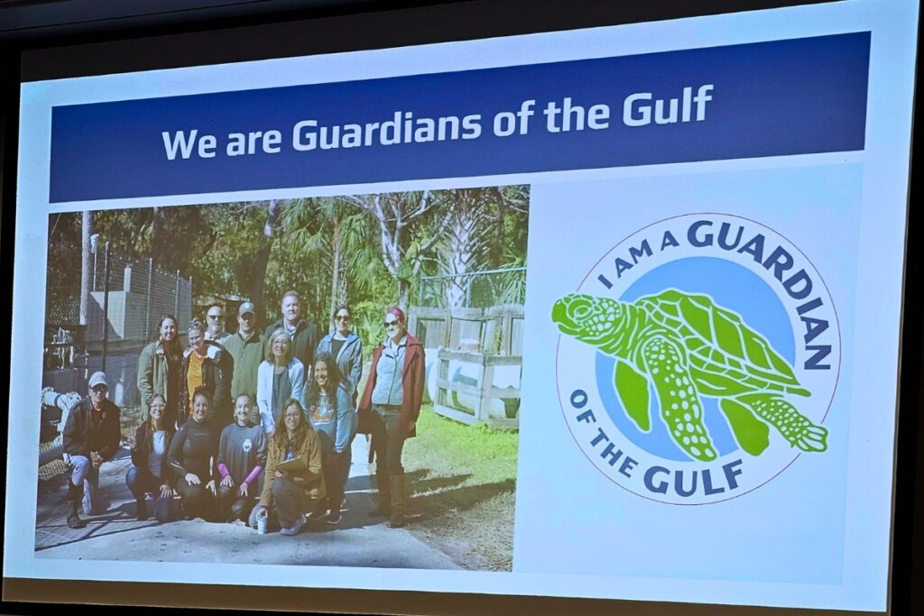 Guardians of the Gulf is comprised of various groups promoting youth engagement for marine animal conservation. Courtesy of UF