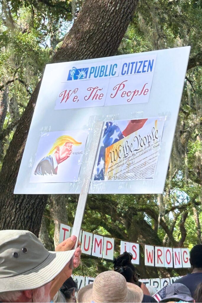 A protestor holds up a sign at the No Kings Day rally held in Gainesville on Saturday.