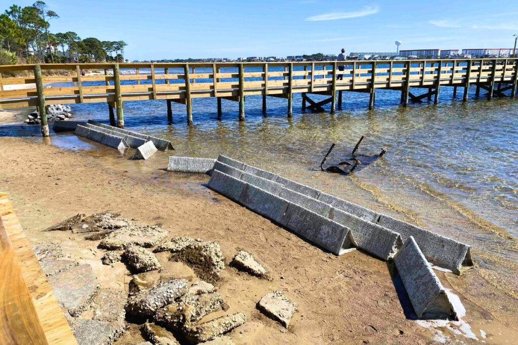 A reef prism formation at Liza Jackson Park in Fort Walton Beach. Photo by Savana Barry UF-IFAS (1)