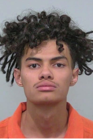 Anthony Williams-Loscalzo