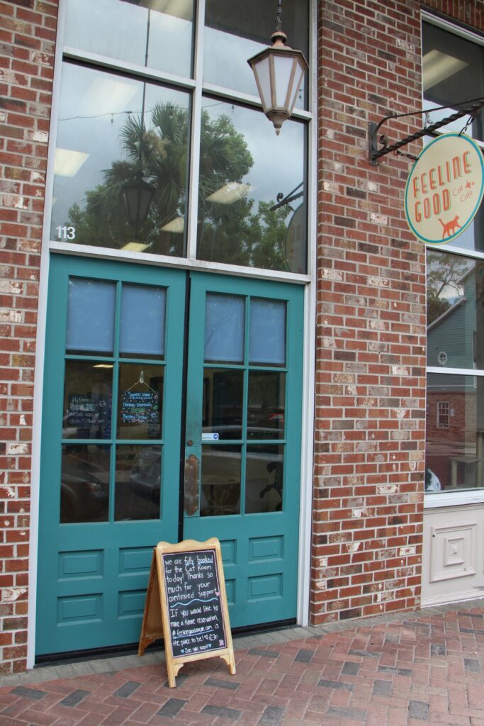 Feeline Good Cat Café at 201 SE 2nd Pl., Ste. 113, in Gainesville to close. Photo by Lillian Hamman