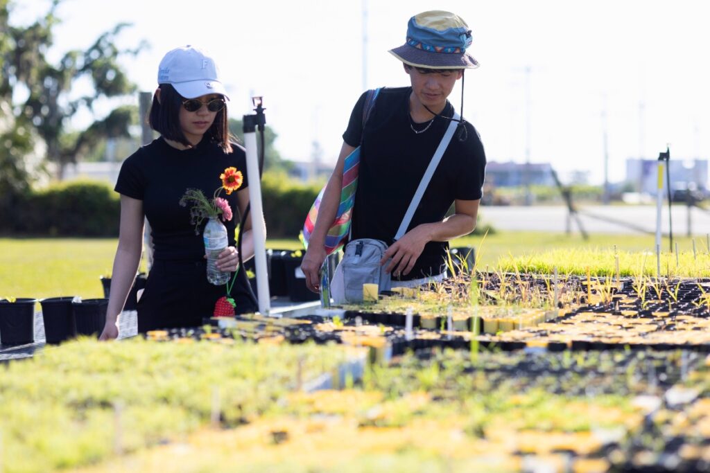 Shoppers inspect plants at a UFIFAS Native Plant Nursery sale. Photo by Tyler Jones-UF-IFAS