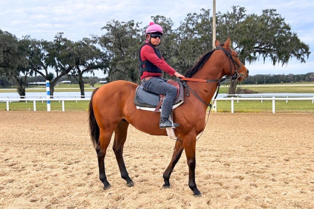 A trainer sits astride a horse at an Ocala horse farm. Photo by Ronnie Lovler