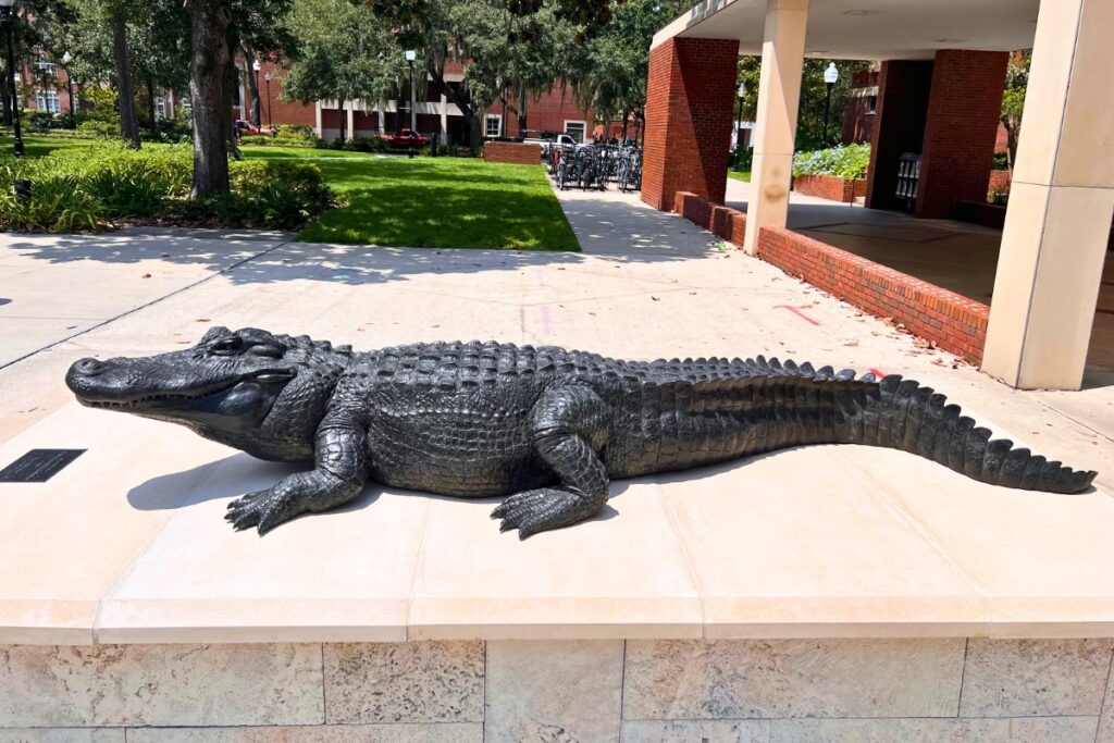 According to a UF press release, Focused Attention is over 400 pounds and nine feet long. Photo by Nick Anschultz