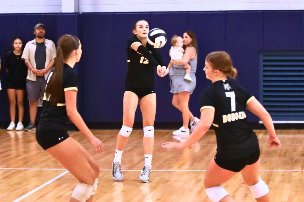 Buchholz's Taylor Sembower with a dig against Santa Fe on Thursday. Photo by C.J. Gish