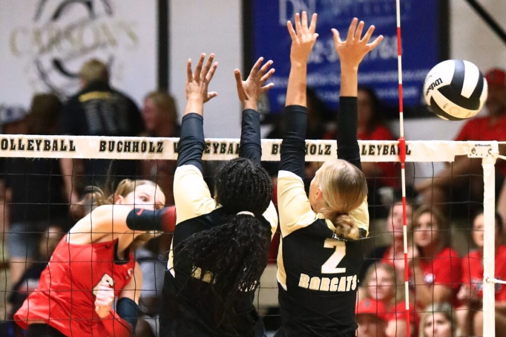 Santa Fe's Delaney Wingenbach (6) with a hit against Buchholz. Photo by C.J. Gish